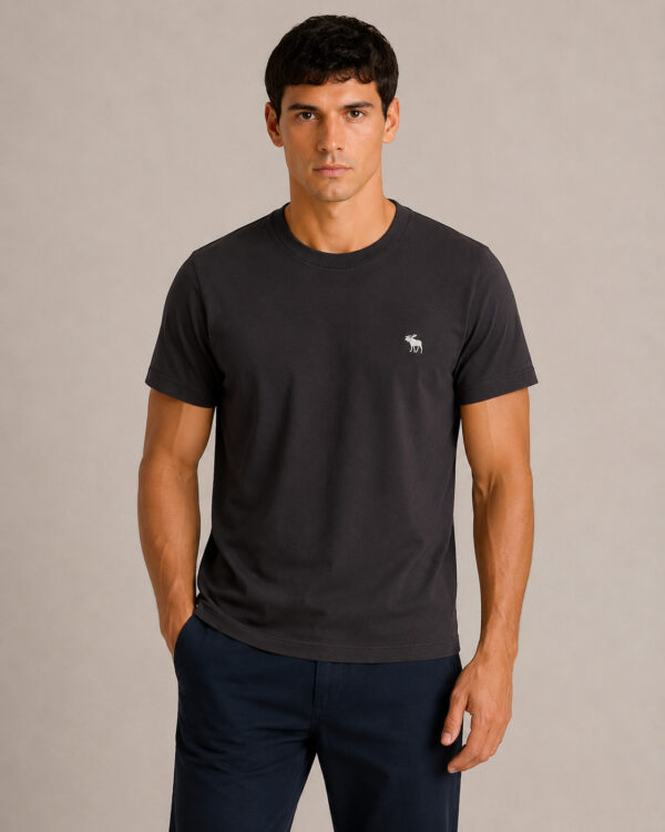 Camiseta Abercrombie & Fitch PRETO