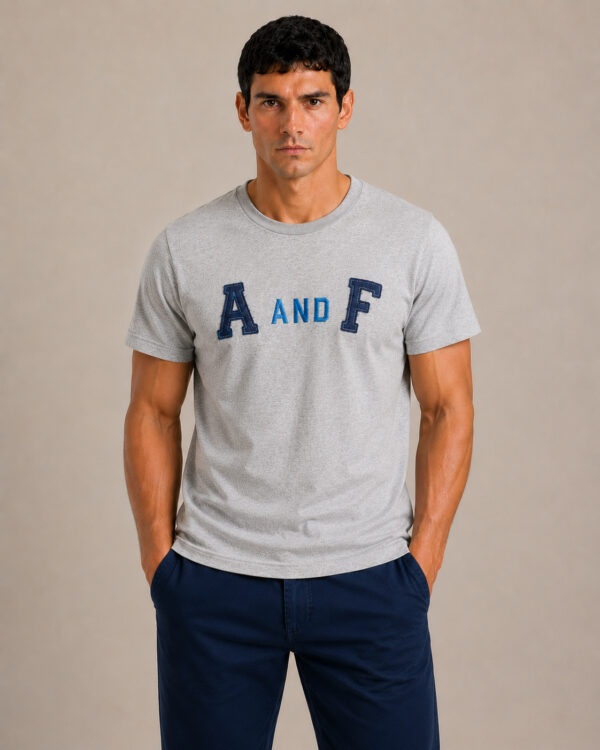Camiseta Masculina Abercrombie Cinza Bordada A and F CINZA