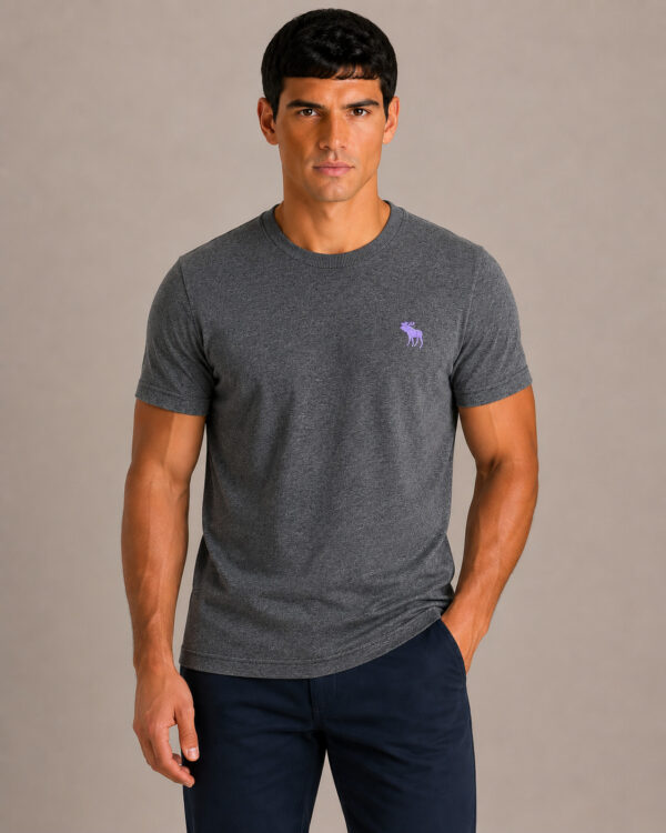 Camiseta Abercrombie & Fitch CINZA CHUMBO