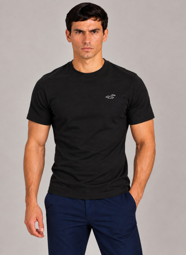 Camiseta Masculina Hollister Preta Bordada Logo Gaivota
