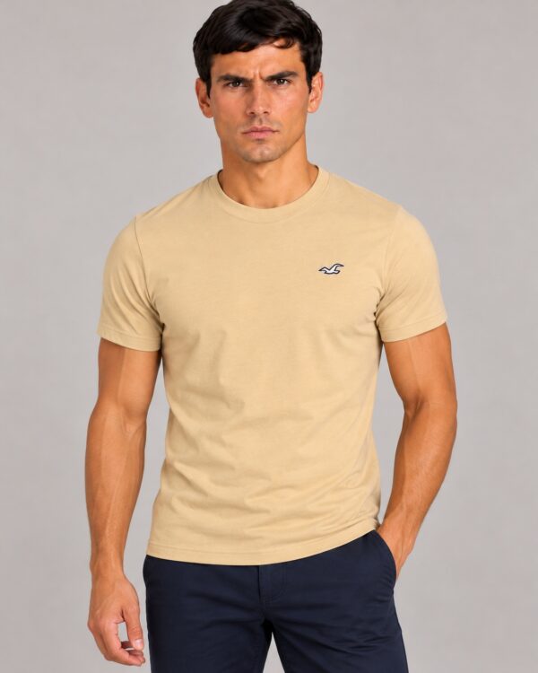 Camiseta Masculina Hollister Preta Bordada Logo Gaivota BEGE